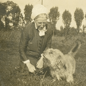 solomon square with dog